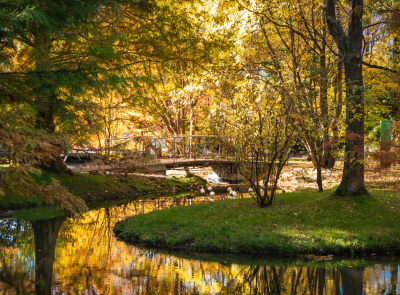 Biglietto di tardo autunno